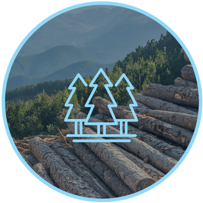 Suministros para la INDUSTRIA FORESTAL